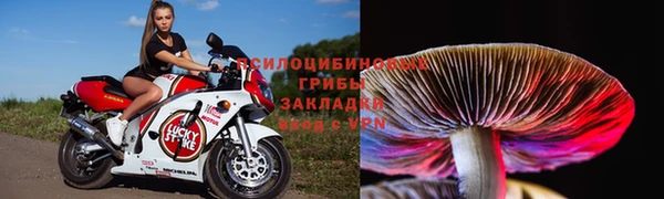 дмт Абаза