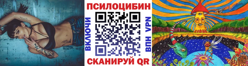 купить  сайты  Мещовск  Псилоцибиновые грибы Cubensis 